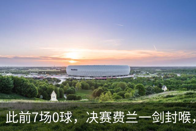 此前7场0球，决赛费兰一剑封喉，对手四连退，西班牙16年后再封王