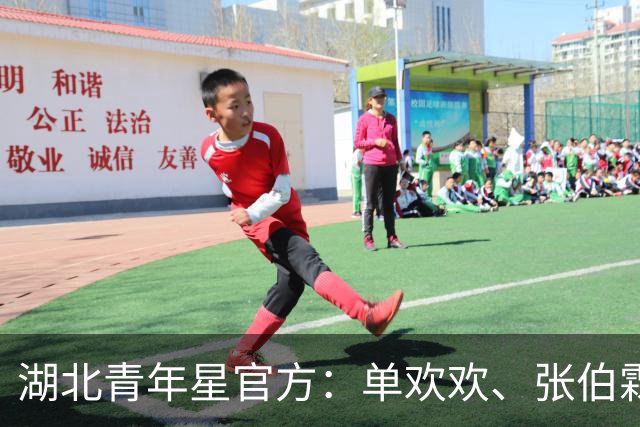 湖北青年星官方：单欢欢、张伯霖等9人加盟，陈佳奇等7人离队